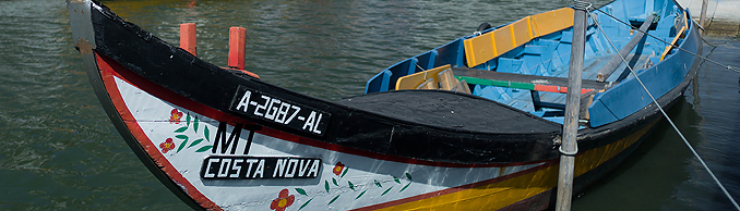 Copyright © Wolfgang Bleier, Austria Aveiro